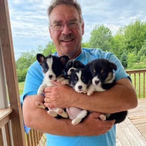 c_h_pembroke_corgis_1661705525_2914919676258941846_47406370877